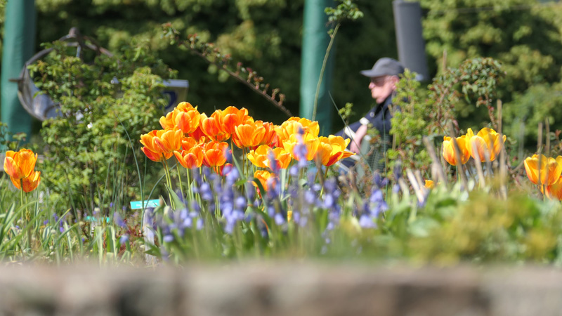 Botanischer Garten in Solingen allgemein MedienwerkstattWissen