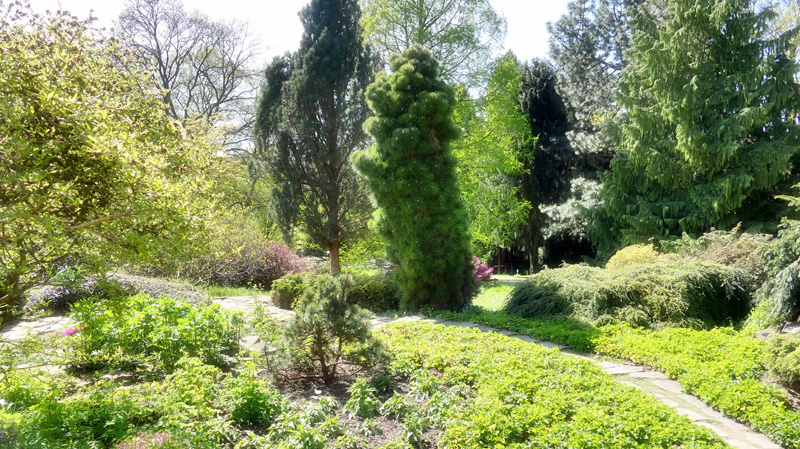 Alpinum MedienwerkstattWissen © 20062025 Medienwerkstatt