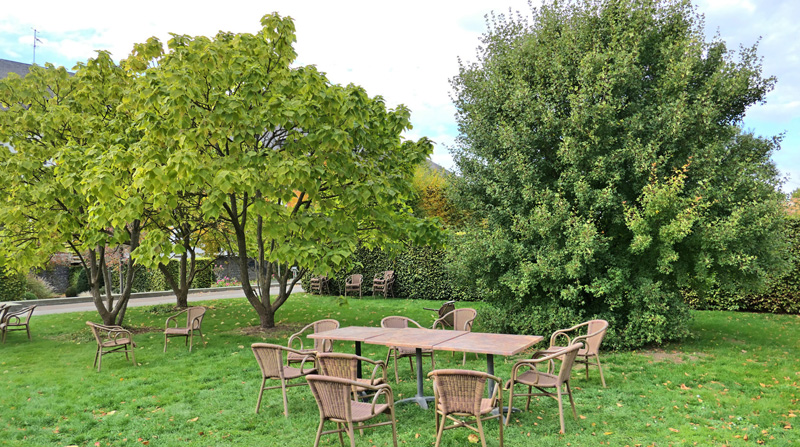 Arboretum allgemein MedienwerkstattWissen © 20062025 Medienwerkstatt