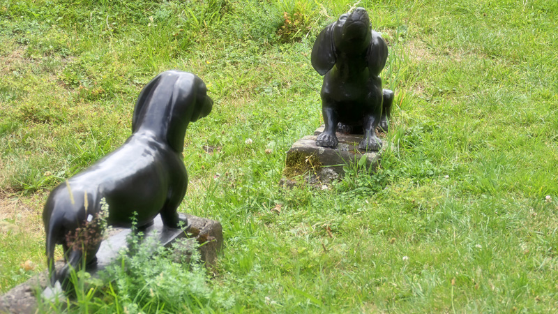 Gartenkunst Fotos 17 Dackel MedienwerkstattWissen © 20062025