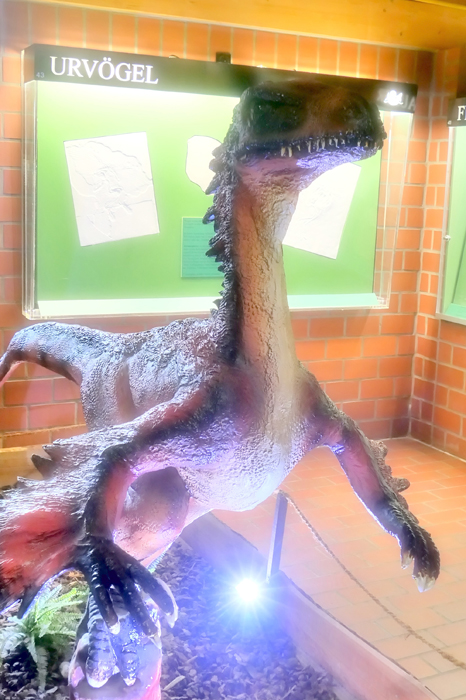 Fossilium Fotos 14 Deinonychus MedienwerkstattWissen © 20062025