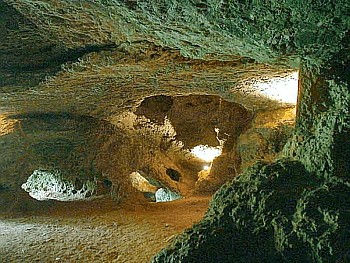 Bilder von Bärenhöhle: Zeichnen lernen mit Spaß!