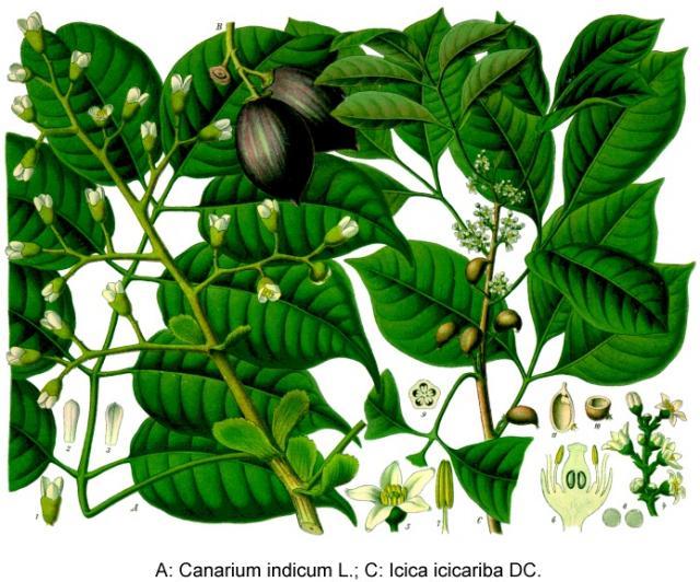 Kümmel MedienwerkstattWissen © 20062024 Medienwerkstatt