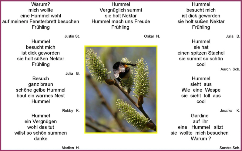 Fruhlingselfchen Aus Einer Schulkasse 1 Medienwerkstatt Wissen C 2006 2021 Medienwerkstatt