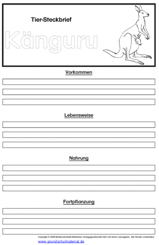 Vorlage Tiersteckbrief: Känguru - Medienwerkstatt-Wissen © 2006-2017